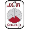 https://img.jhyzb.com/img/basketball/team/4b06fe02aaa7da5901e5698485059da0.png