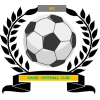 https://img.jhyzb.com/img/football/team/6dc6d59af2f0962597b412473a6708ee.png